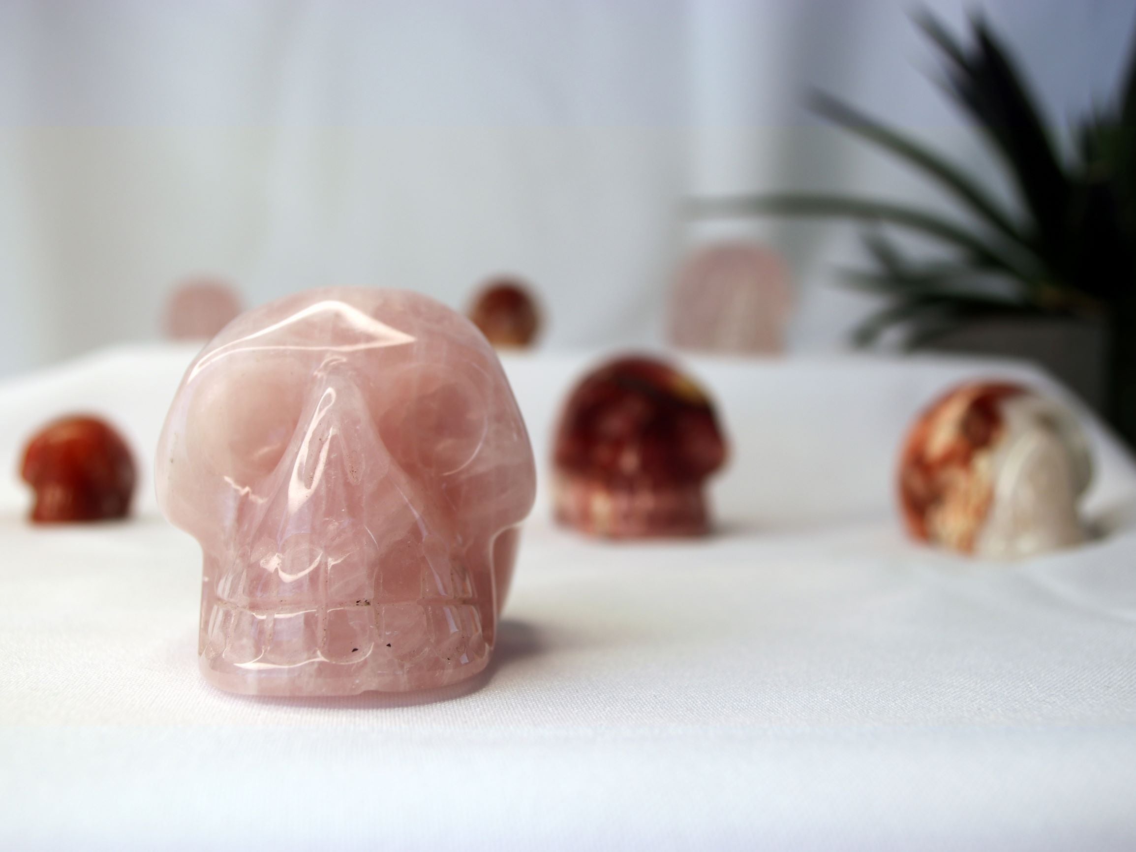 Crystal Skulls - An Evolution of Love and Enlightenment