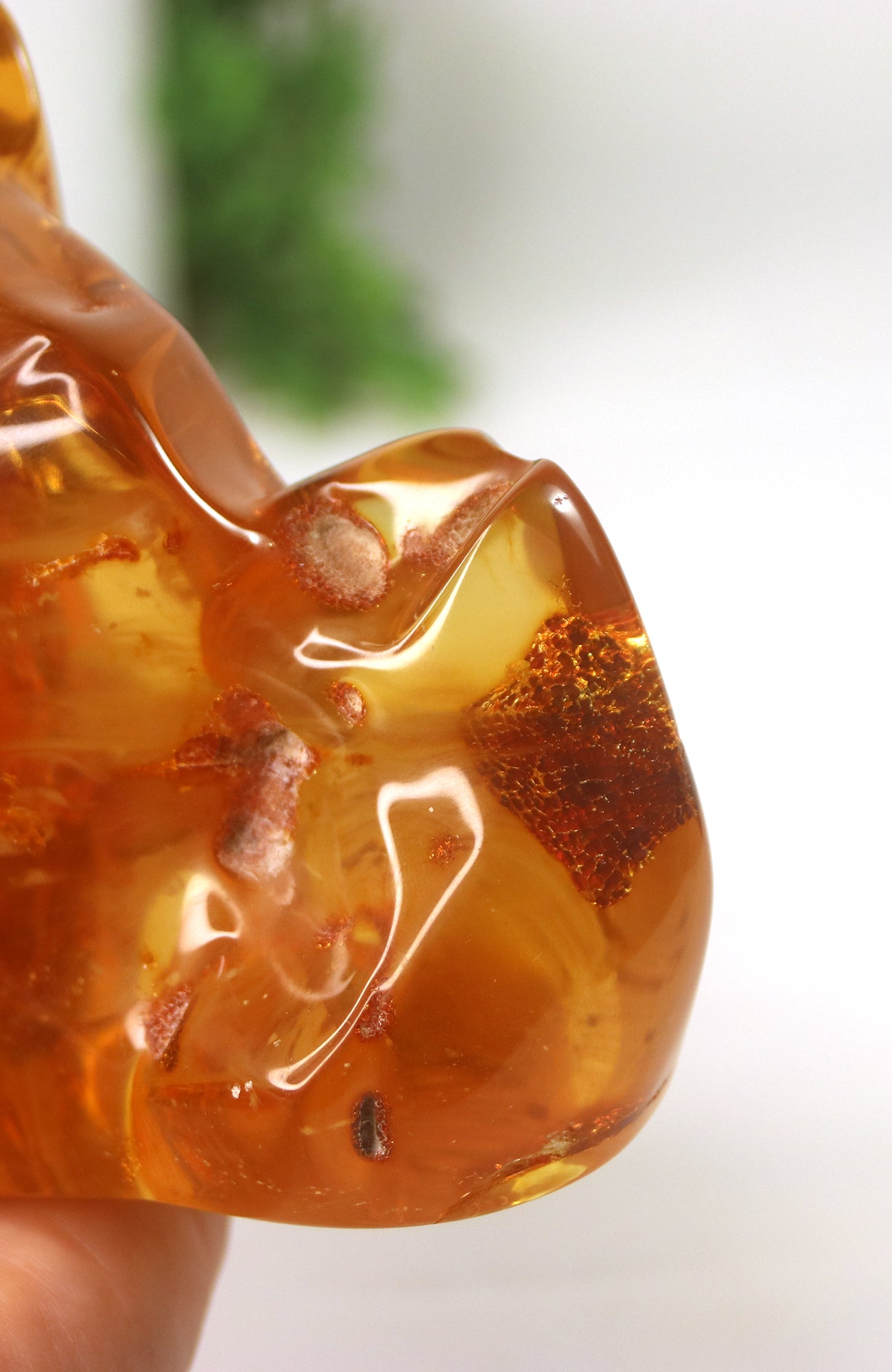 Amber Piece with insects