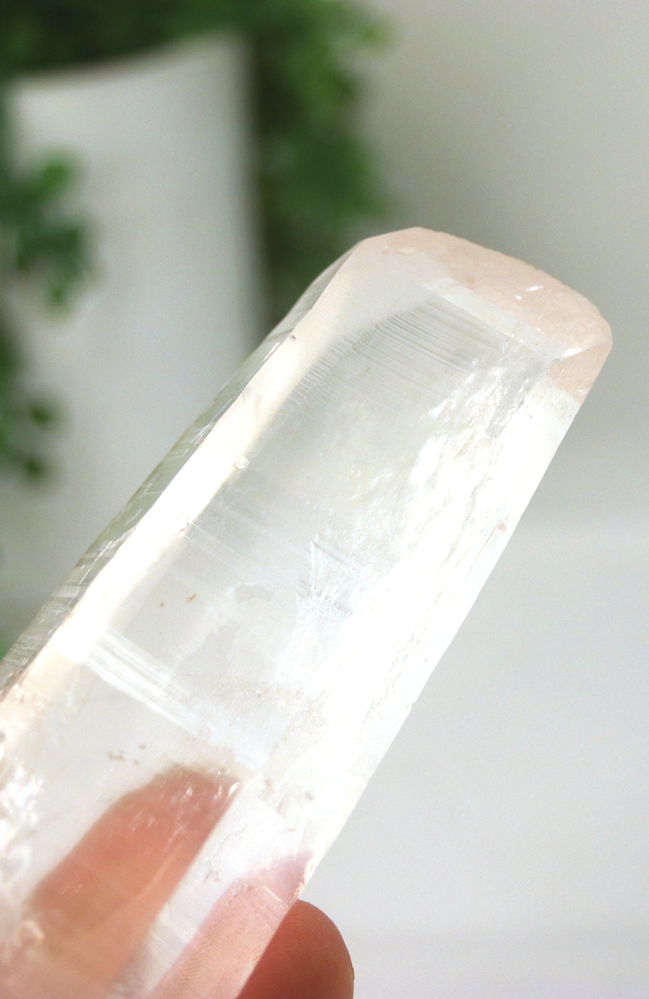 Lemurian Seed Crystal