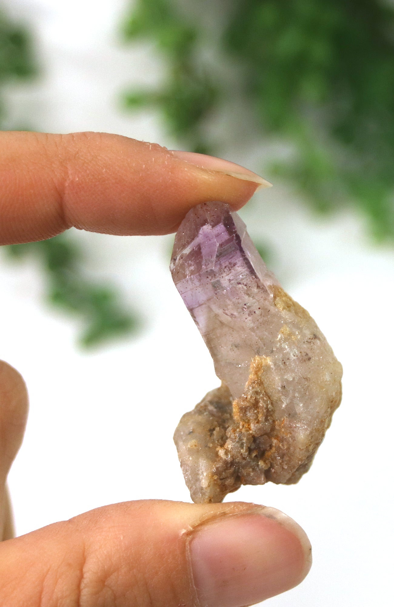 Chiredzi Amethyst Specimens